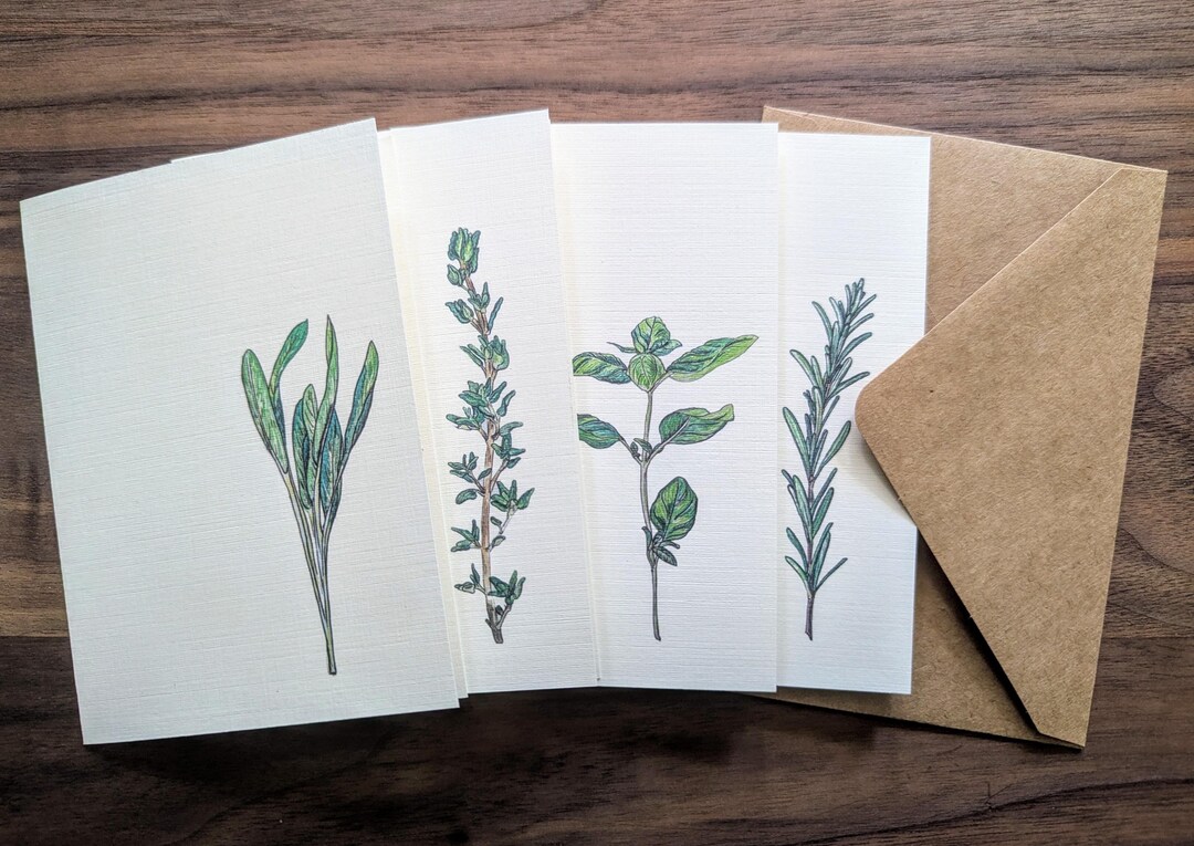 Herb Garden Illustrated Tiny Folded Note Cards {set of 8} - A1, Blank ...