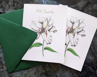 Sympathy card: Oriental Lily hand drawing (set of 6)