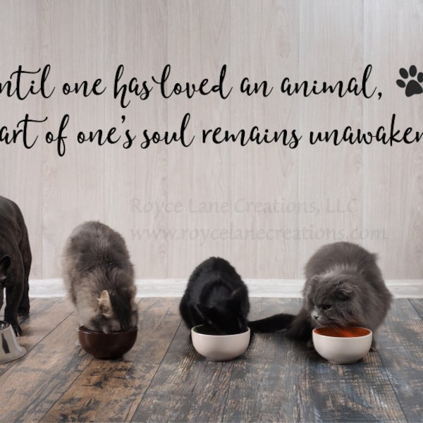 Animal Quotes Etsy