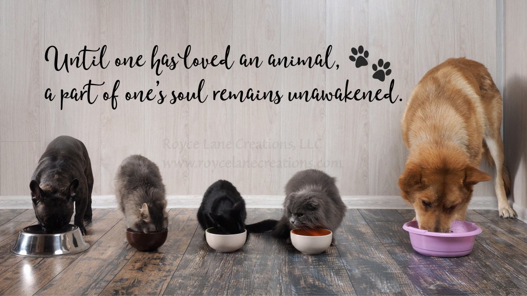 Until One Has Loved an Animal Pet Decal / Cat Wall Decals / - Etsy Until One Has Loved an Animal Pet Decal / Cat Wall Decals / - Etsy