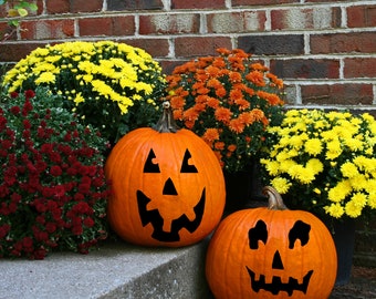 Fall Porch Decor, Pumpkin Decal, Pumpkin Face Decals, Mix and Match Pumpkin Faces Halloween Decal, Pumpkin Decoration, Pumpkin Sticker