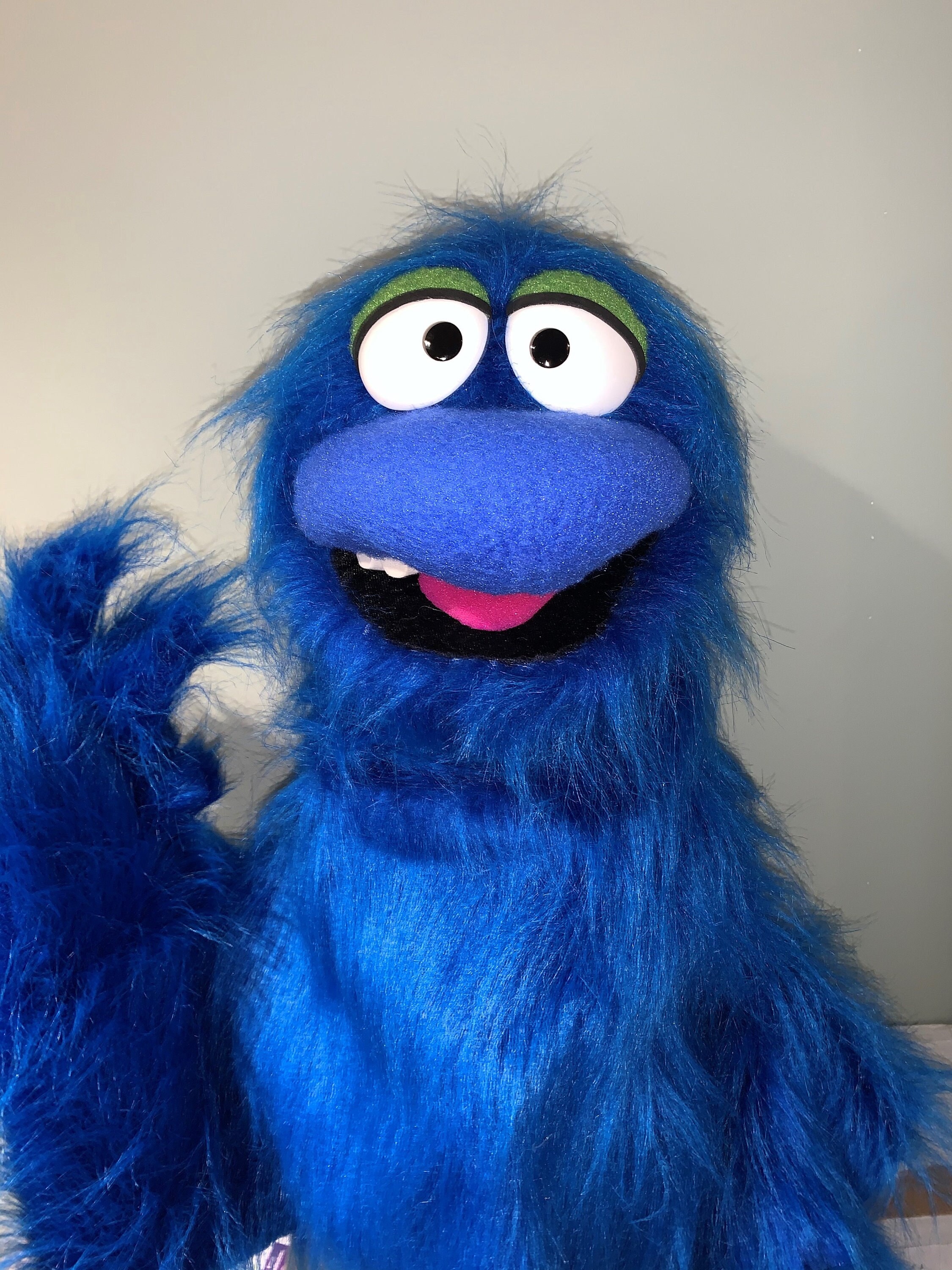Custom Professional Monster Puppet- to your specifications