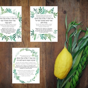 Sukkot blessings printed and laminated with frames of greenery