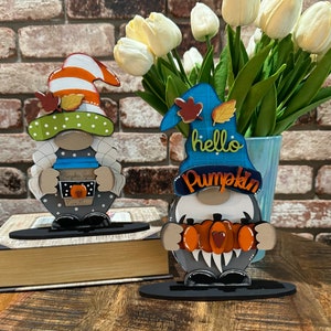 Gnome Interchangeable Boy & Girl Fall Hat and Hands Set