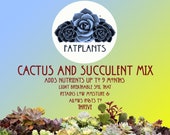 Premium Cactus and Succulent Soil