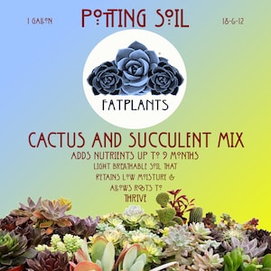 May include: A 1 gallon bag of cactus and succulent potting soil mix. The bag features a blue and green gradient background with a white circle containing three blue succulent plants. The text "POTTING SOIL" is in red letters and the text "FATPLANTS" is in black letters. The bag also features the text "18-6-12" in black letters. The text "CACTUS AND SUCCULENT MIX" is in black letters. The text "ADDS NUTRIENTS UP TO 9 MONTHS" is in black letters. The text "LIGHT BREATHABLE SOIL THAT RETAINS LOW MOISTURE & ALLOWS ROOTS TO THRIVE" is in black letters.