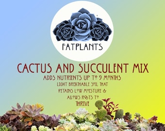 Premium Cactus and Succulent Soil