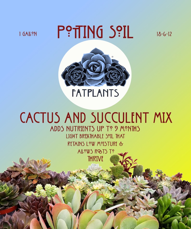 Premium Cactus and Succulent Soil image 1