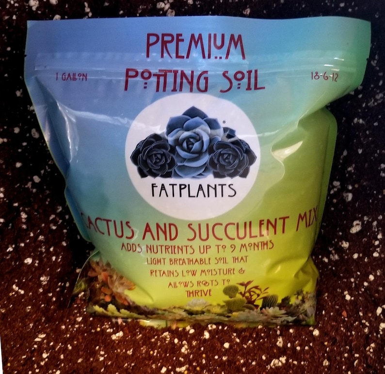 Premium Cactus and Succulent Soil image 2