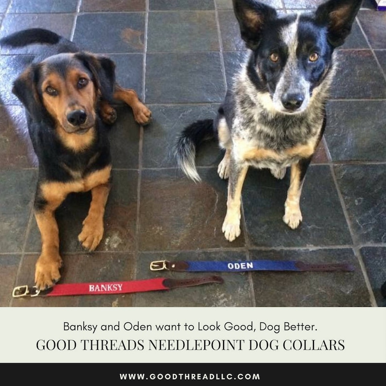 Needlepoint Dog Collar/ Gifts for Dog Lovers / American Flag Etsy