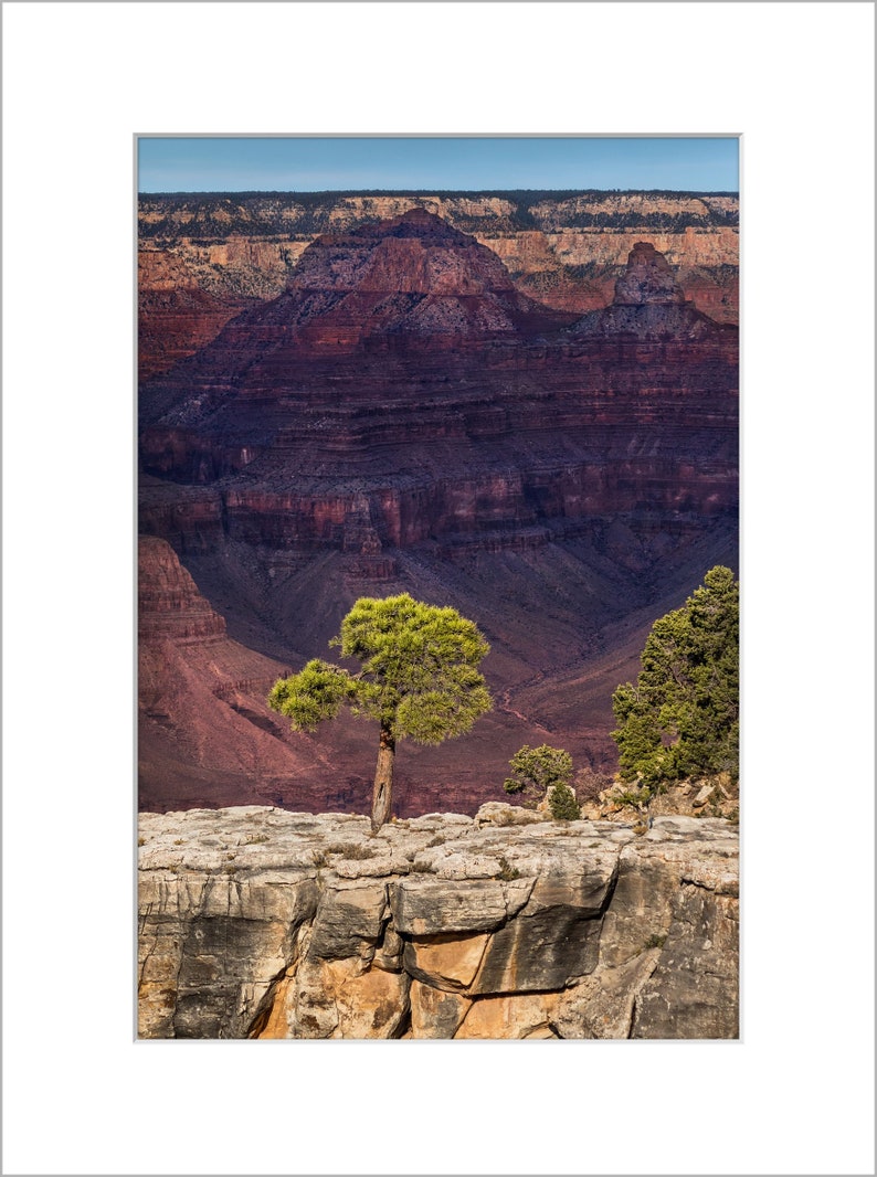 Grand Canyon South Rim Arizona Matted Photo Print