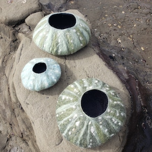 Pode incluir: Três tigelas de feltro em tons de verde e azul, que se assemelham a ouriços-do-mar, estão dispostas sobre uma superfície rochosa. As tigelas são feitas à mão e têm uma textura única e orgânica.