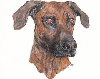 Custom Dog Portrait, Dog Drawing, Mixed Media Hand Drawn Pet Portrait, Pet Artwork, Home Decor Ready to Frame, Gift Idea Free Shipping