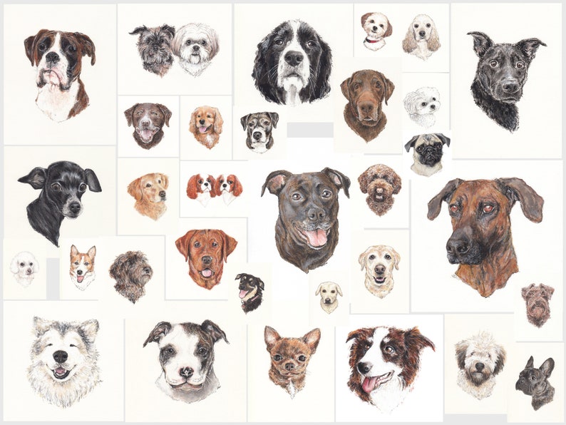 Custom Dog Portrait, Mixed Media Hand Drawn Pet Portrait, Colour Pet Artwork Dog Drawing, Home Decor Ready to Frame, Gift Idea Free Shipping image 4