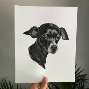 Custom Dog Portrait, Mixed Media Hand Drawn Pet Portrait, Colour Pet Artwork Dog Drawing, Home Decor Ready to Frame, Gift Idea Free Shipping image 10