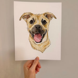 Custom Dog Portrait, Mixed Media Hand Drawn Pet Portrait, Colour Pet Artwork Dog Drawing, Home Decor Ready to Frame, Gift Idea Free Shipping image 2