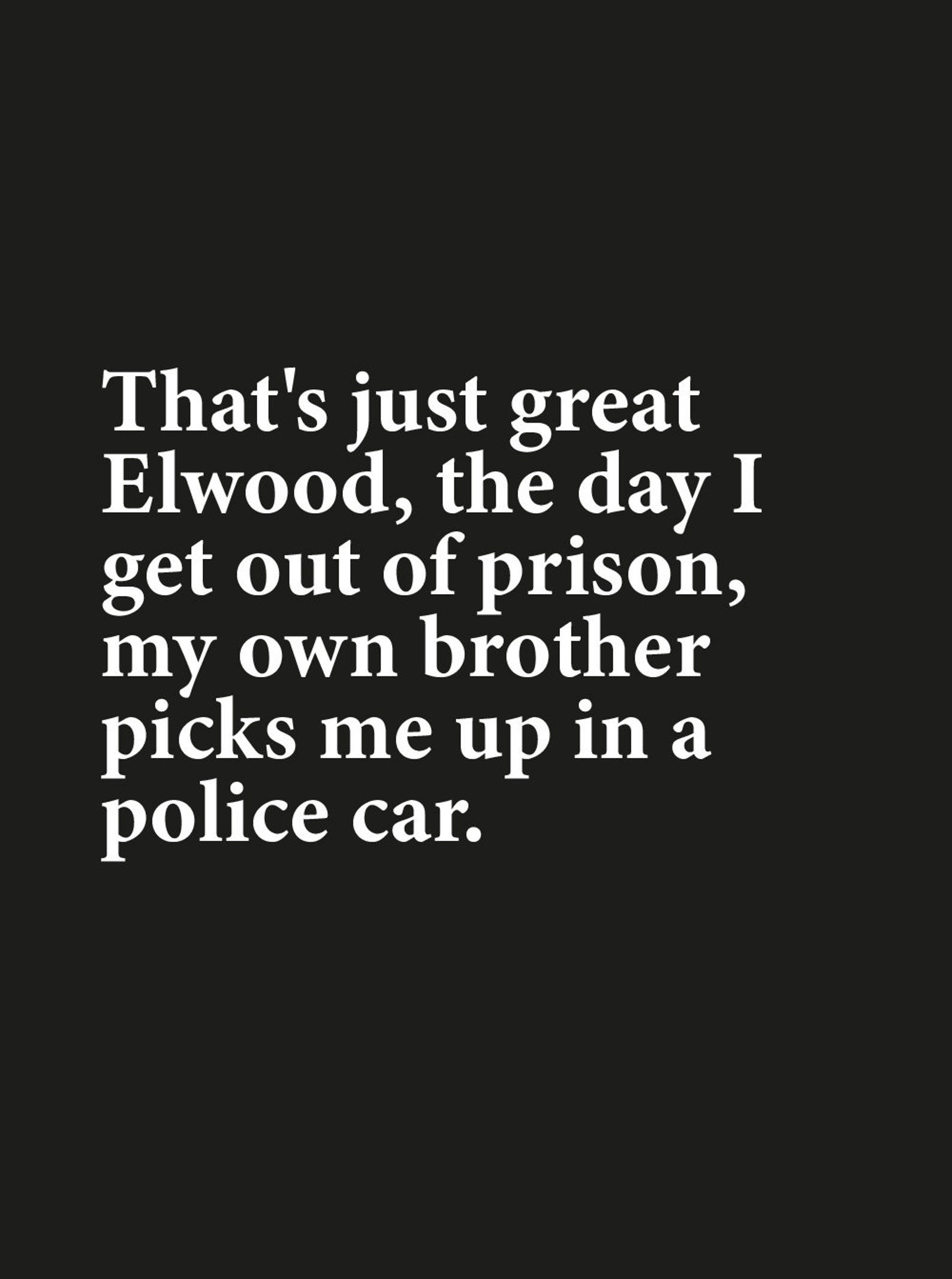 The Blues Brothers Film