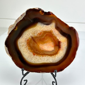 May include: A polished agate slice, showcasing concentric bands of brown, cream, and orange hues. The natural stone is displayed on a black metal stand, revealing its intricate patterns and textures. The agate's outer edge has a rough, natural texture.