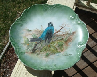 Painting On Porcelain Spring Blue Bird Painting Signed By Artist Jane Haniker Hand Painted Wall Plate