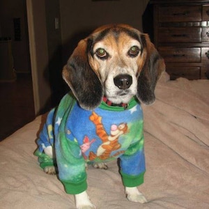Könnte beinhalten: Ein brauner und weißer Beagle-Hund trägt einen blauen, grünen und orangefarbenen Schlafanzug mit einem Cartoon-Charakter-Druck. Der Hund sitzt auf einem hellbraunen Bett.
