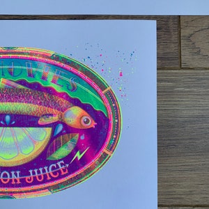 Risographes FLURO Fishy Tin A4 Anchovy Tin