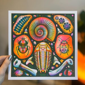 Shells and Fossil -  Risograph Prints 2nd edition