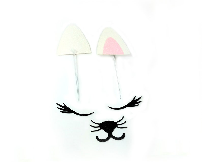 May include: A set of white felt cat ears with pink inside, black felt eyelashes, and a black felt cat nose. The ears are on white sticks.