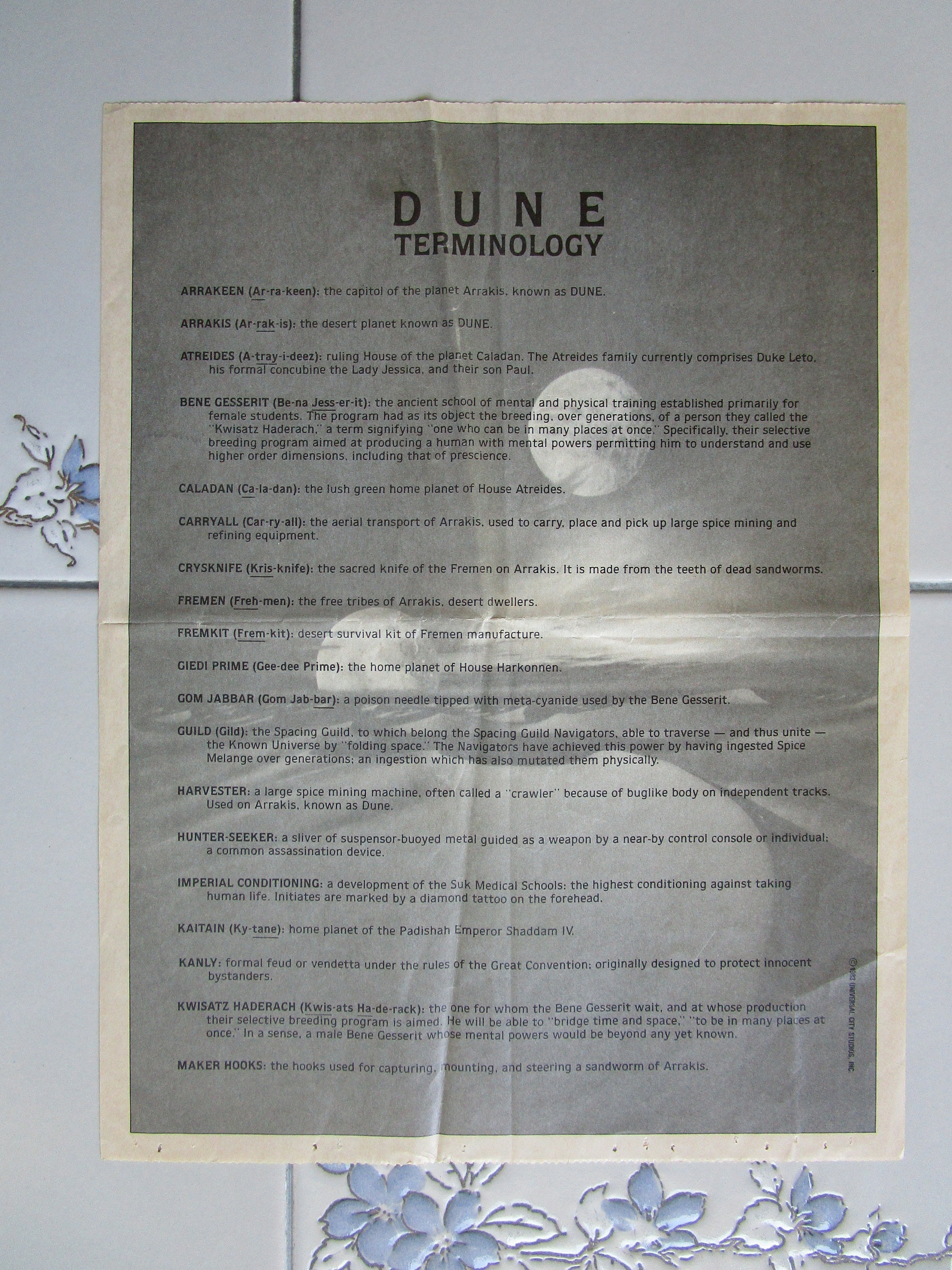 dune-timothee-chalamet-dune-1984.jpg