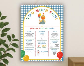 Two Much Fun Birthday Editable Milestone Poster Template | Second Birthday Blue Gingham My 2nd Year Poster | Instant Download 18x24