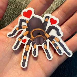 Spider / Tarantula / Arachnid vinyl waterproof sticker / decal