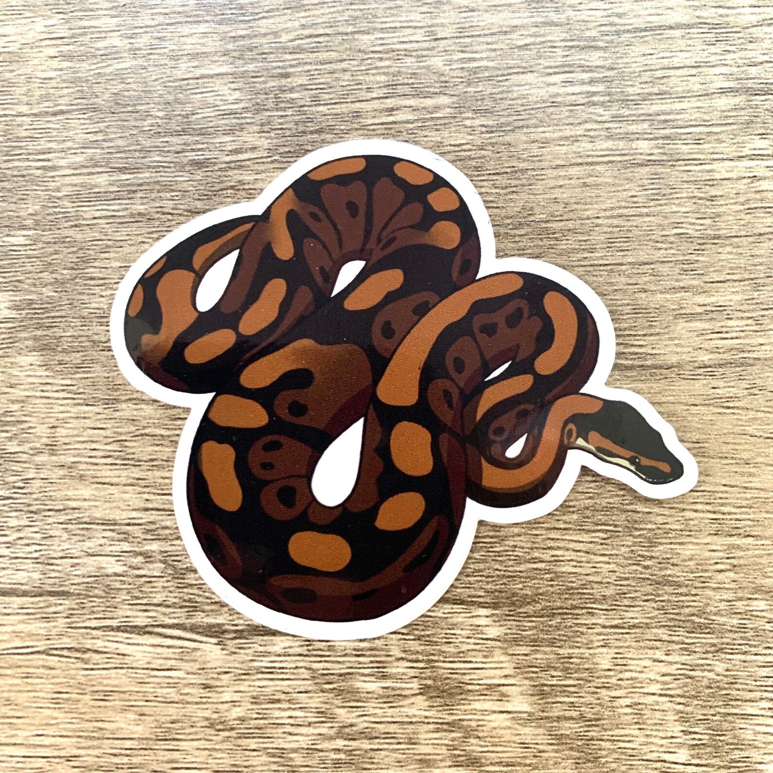 Ball Python vinyl Sticker / weatherproof | Etsy