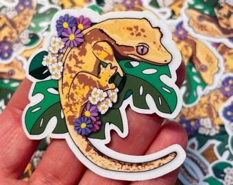 Crested Gecko Eyelash lizard vinyl waterproof sticker / decal