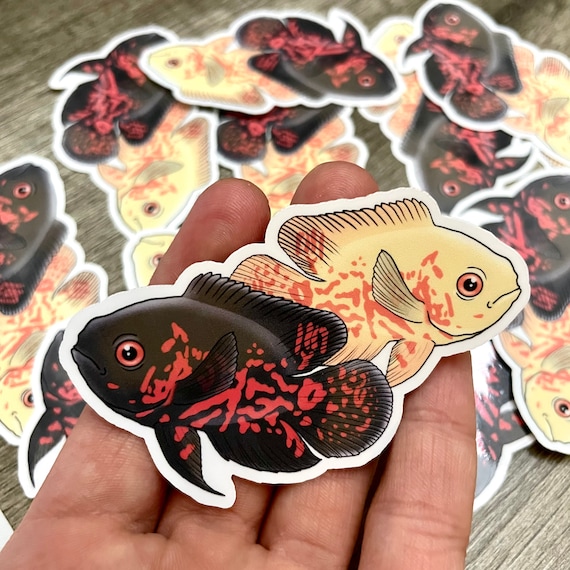 Oscar Fish Cichlids Freshwater Vinyl Waterproof Sticker / Decal 