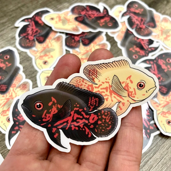 Freshwater Fish Decals Etsy