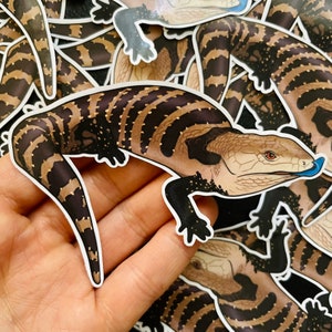 Blue Tongue Skink Lizard vinyl waterproof sticker / decal