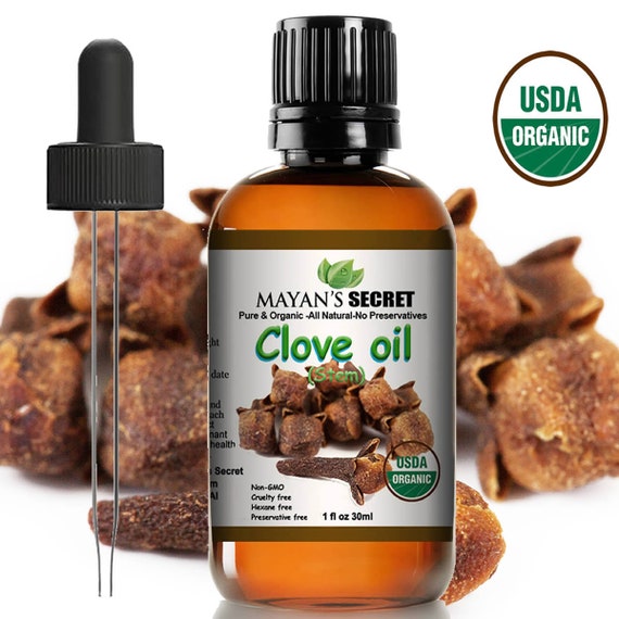 Mayan's Secret USDA Certified Organic Pure Clove Stem Essential Oil  Therapeutic Grade Aromatherapy, Relaxation, Skin Therapy & More 