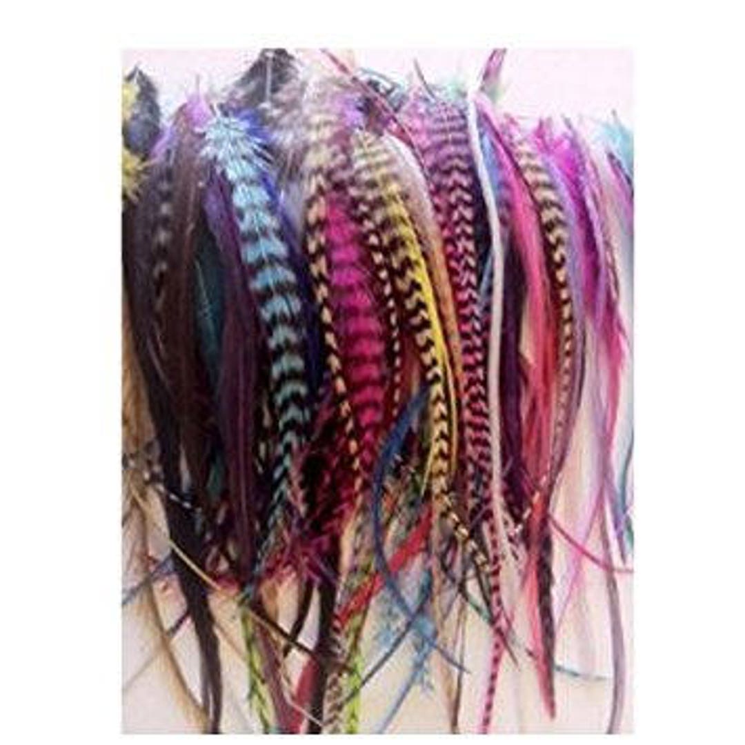  Hair Feathers Extension Kit, 100% Real Rooster Feathers, Long Feather  Hair Extensions in Pink, Purple, and Blue by Feather Lily : Beauty &  Personal Care