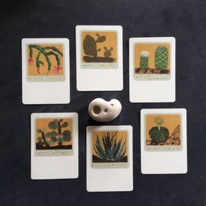 6 SUCCULENTES, CARTES D'ART, CACTUS
