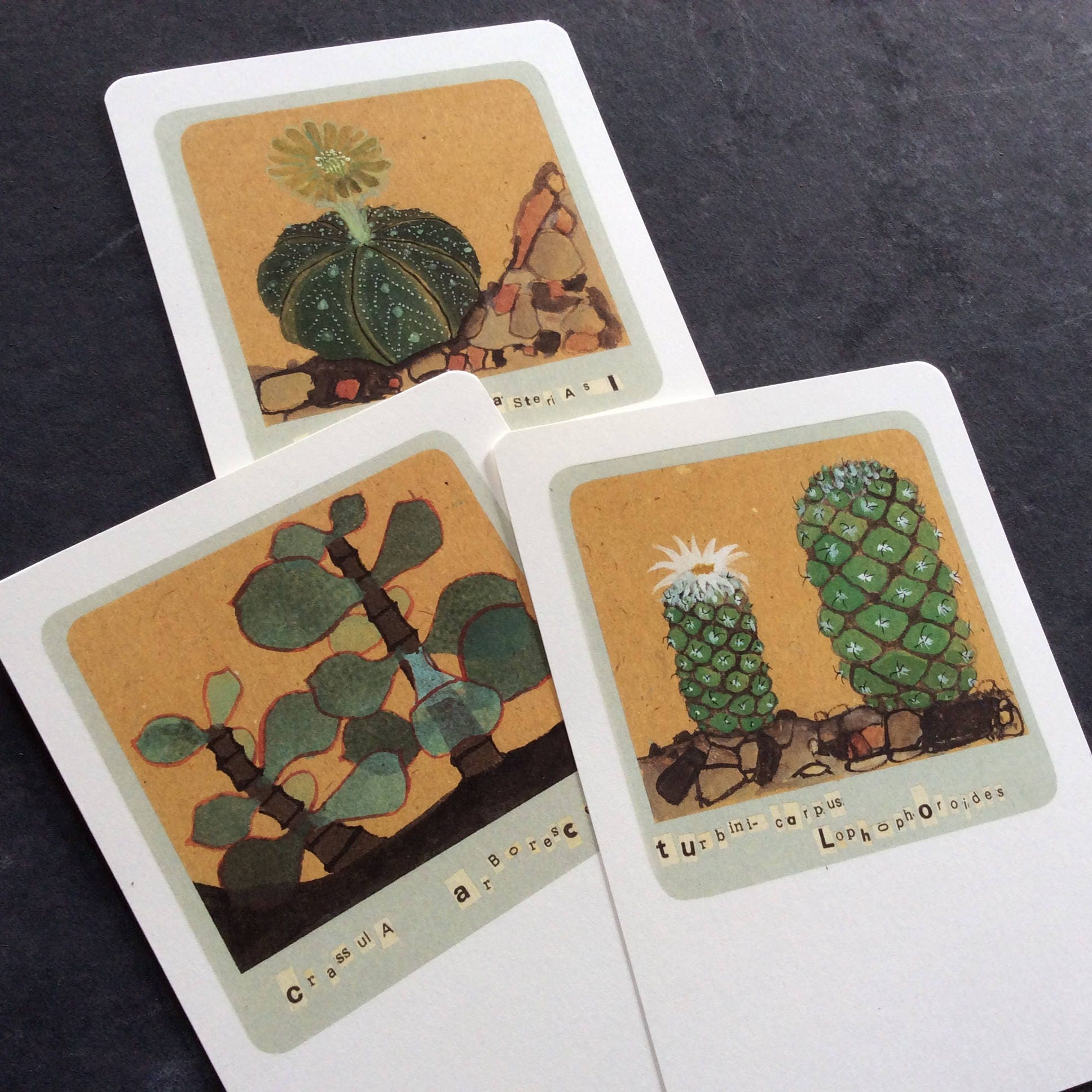 6 ART CARDS - SUCCULENTS, Cactus - Etsy