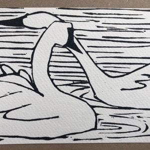 Cartão de cisne - impresso à mão - design exclusivo - cartão de linogravura - impressão de lino de cisne - cartão de felicitações em branco