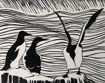 Guillemot print - Handprinted, limited edition linocut print - Group of guillemots