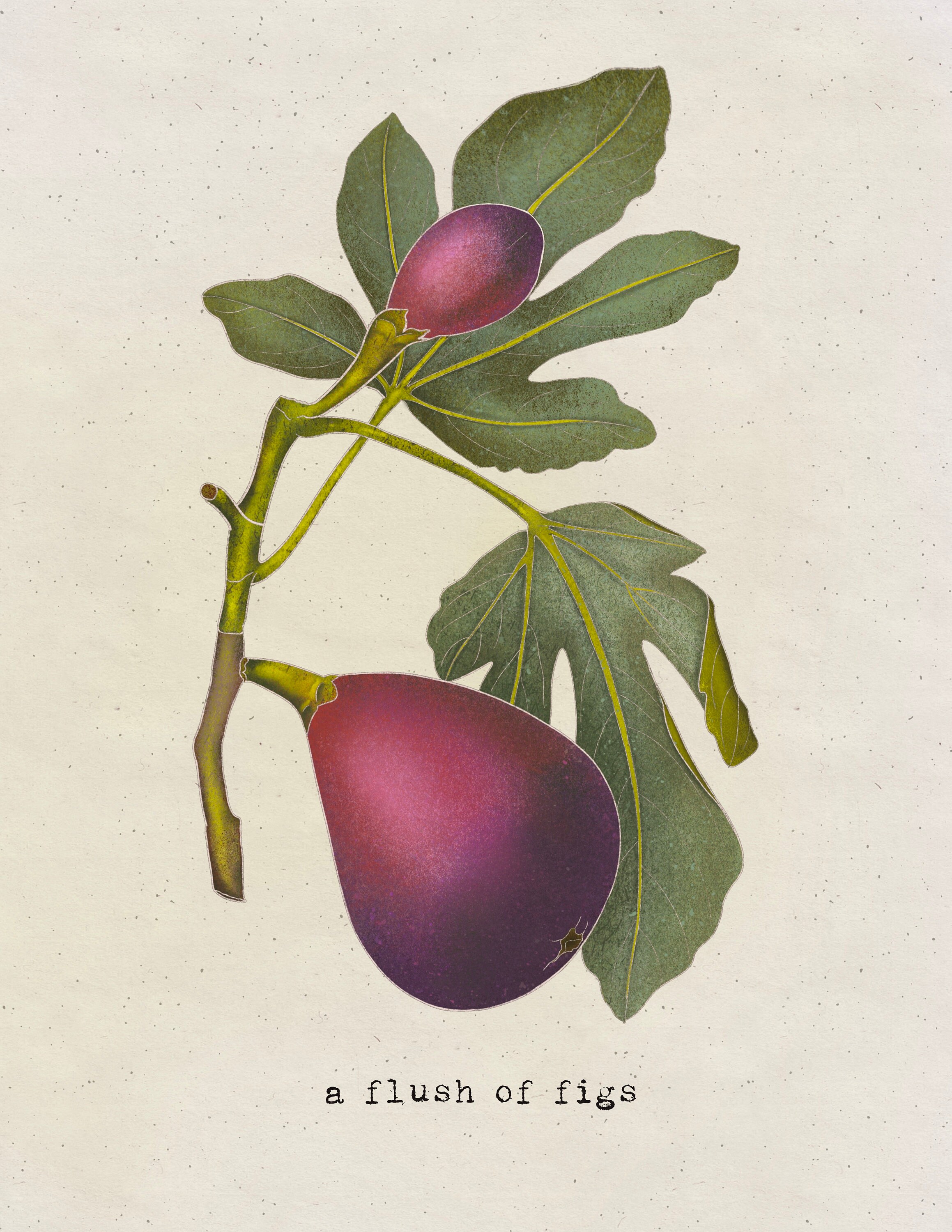 Botanical Fruit Set Art Print Etsy