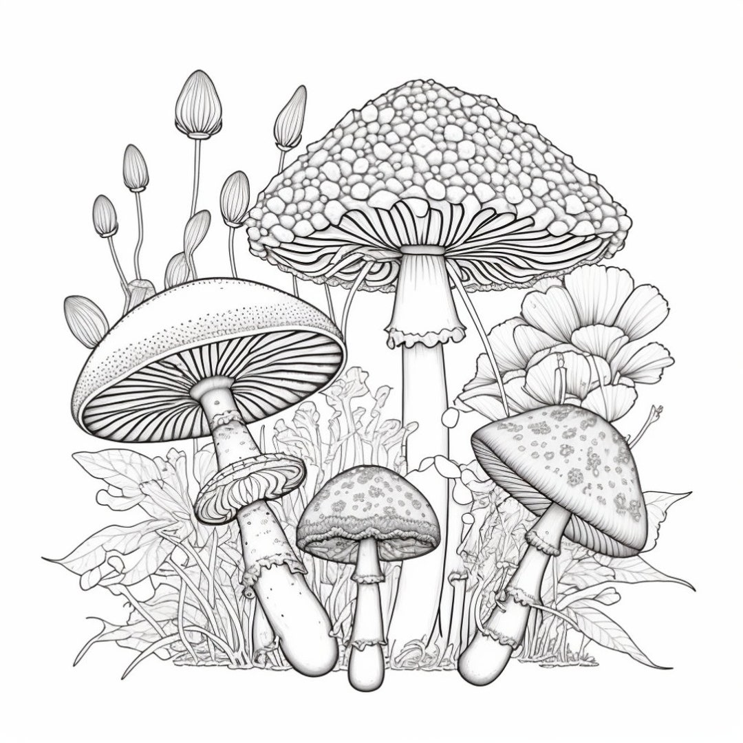 Mushroom Kingdom: A Magical Coloring Adventure - Etsy