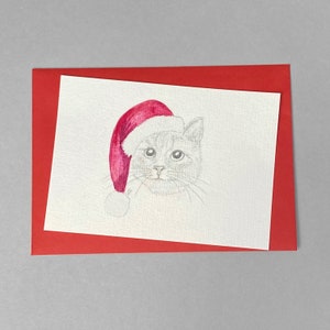 Postkarte, Motiv "Katze 1"