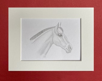 Bleistiftzeichnung, Motiv "Pferd 3"