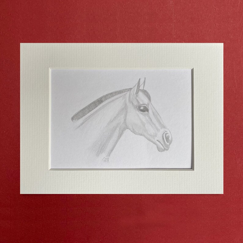 Bleistiftzeichnung, Motiv Pferd 3 Bild 1