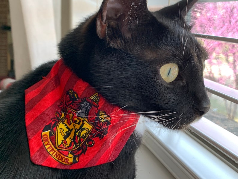 gryffindor cat collar
