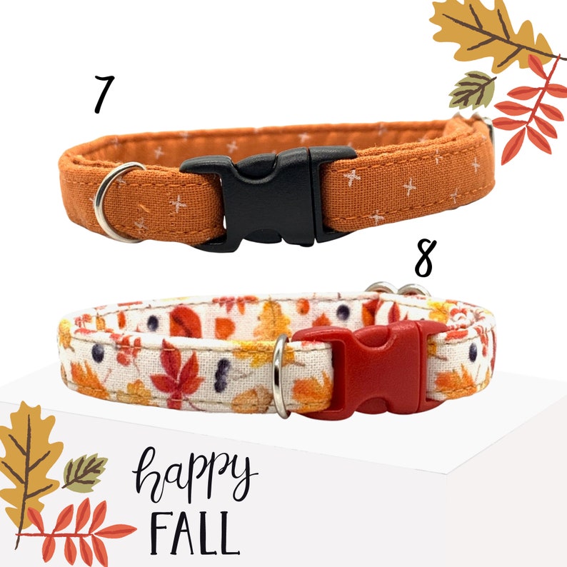Fall / Changing Colors / Leaves / Pinecones / Foliage/polka Dots