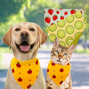 Summer Bandanas/ Spring/Fruit/Apples- Dog & Cat Bandanas Accessories for Collars- MULTIPLE DESIGNS,SIZES