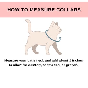 May include: An instructional graphic titled HOW TO MEASURE COLLARS featuring a light beige cat illustration with a dark blue circular arrow around its neck. Text below reads: Measure your cat's neck and add about 2 inches to allow for comfort.